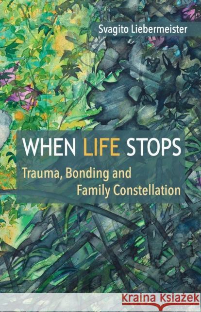 When Life Stops Svagito Liebermeister   9781916364486 Perfect Publishers Ltd - książka