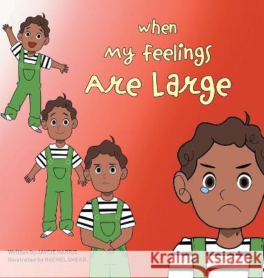 When My Feelings Are Large Jaycie Harris Rachel Shead 9781039118966 FriesenPress - książka