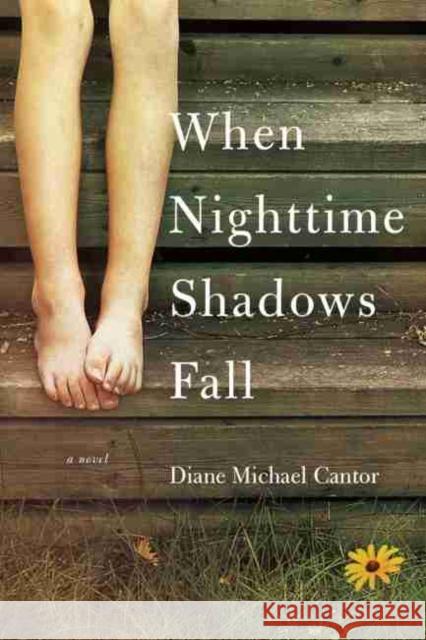 When Nighttime Shadows Fall Diane Michael Cantor 9781611178326 University of South Carolina Press - książka
