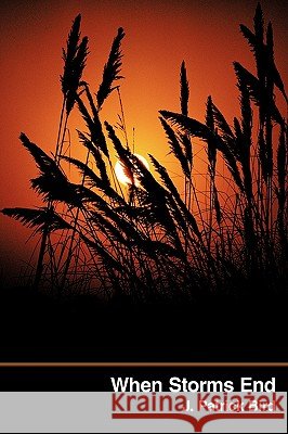 When Storms End J. Patrick Bird 9781438951737 Authorhouse - książka