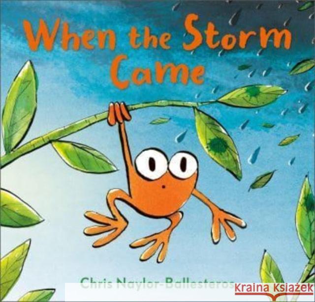 When the Storm Came Chris Naylor-Ballesteros 9781839132575 Andersen Press Ltd - książka