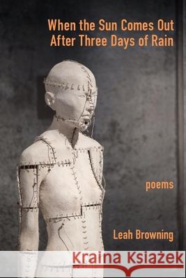 When the Sun Comes Out After Three Days of Rain Leah Browning   9781639802173 Kelsay Books - książka
