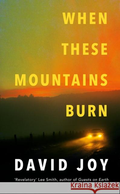 When These Mountains Burn: The literary crime thriller from the prizewinning master of American noir fiction David Joy 9780233006390 Headline Publishing Group - książka