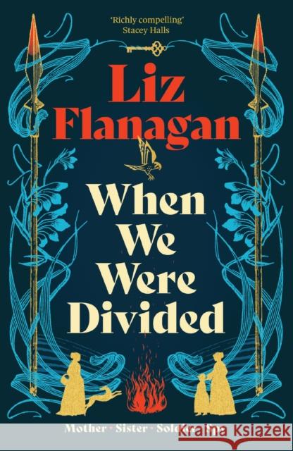 When We Were Divided Liz Flanagan 9781916747869 Fox & Ink Books - książka