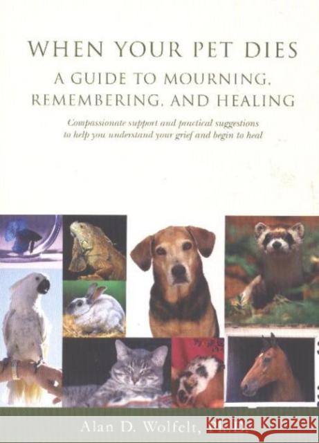 When Your Pet Dies: A Guide to Mourning, Remembering and Healing Wolfelt, Alan D. 9781879651364 Companion Press - książka