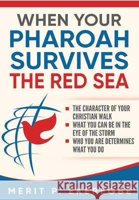 When Your Pharoah Survives the Red Sea Merit P. Ekeregbe 9781648302138 Rwg Publishing - książka
