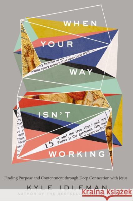 When Your Way Isn't Working: Finding Purpose and Contentment Through Deep Connection with Jesus Idleman, Kyle 9780310363989 Zondervan - książka
