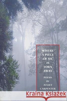 Where a Piece of Me is Torn Away Juliet Carpenter 9781887997416 Baksun Books - książka