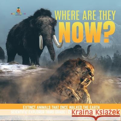 Where Are They Now? Extinct Animals That Once Walked the Earth Scientific Explorer Third Grade Children's Zoology Books Baby Professor 9781541949218 Baby Professor - książka