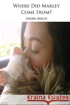 Where Did Marley Come From Avalos, Sherri 9781492229087 Createspace - książka