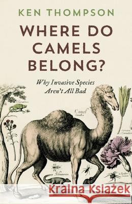 Where Do Camels Belong?: Why Invasive Species Aren't All Bad Ken Thompson 9781771640961 Greystone Books - książka