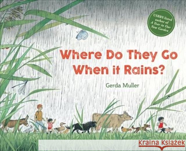 Where Do They Go When It Rains? Gerda Muller 9781782506874 Floris Books - książka