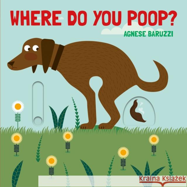 Where Do You Poop? A potty training board book Agnese Baruzzi 9781662650420 Astra Publishing House - książka