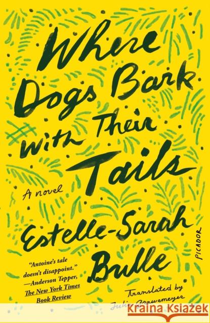 Where Dogs Bark with Their Tails: A Novel Estelle-Sarah Bulle 9781250872975 St Martin's Press - książka
