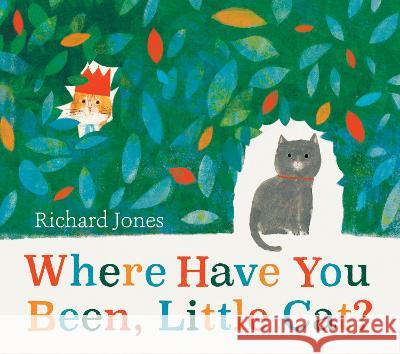 Where Have You Been, Little Cat? Richard Jones 9781682635643 Peachtree Publishers - książka