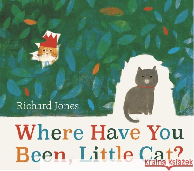 Where Have You Been, Little Cat?: A Sunday Times Children's Book of the Week Richard Jones 9781398502512 Simon & Schuster Ltd - książka
