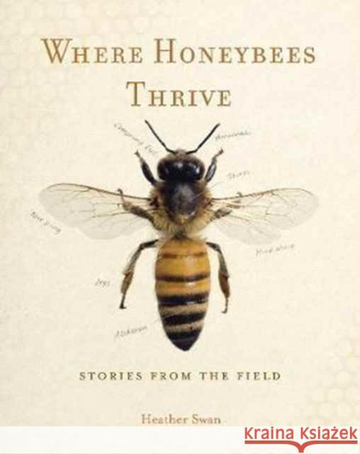 Where Honeybees Thrive: Stories from the Field Swan, Heather 9780271077413 Penn State University Press - książka