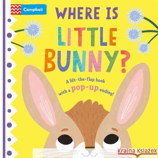 Where is Little Bunny?: The lift-the-flap book with a pop-up ending! Campbell Books 9781529098433 Pan Macmillan - książka