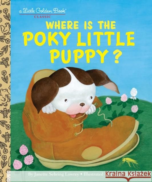 Where Is the Poky Little Puppy? Janette Sebring Lowery Gustaf Tenggren 9780375847509 Golden Books - książka