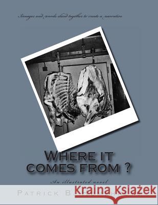 Where it comes from ?: An illustrated novel Humphreys, Patrick B. 9781484098868 Createspace - książka