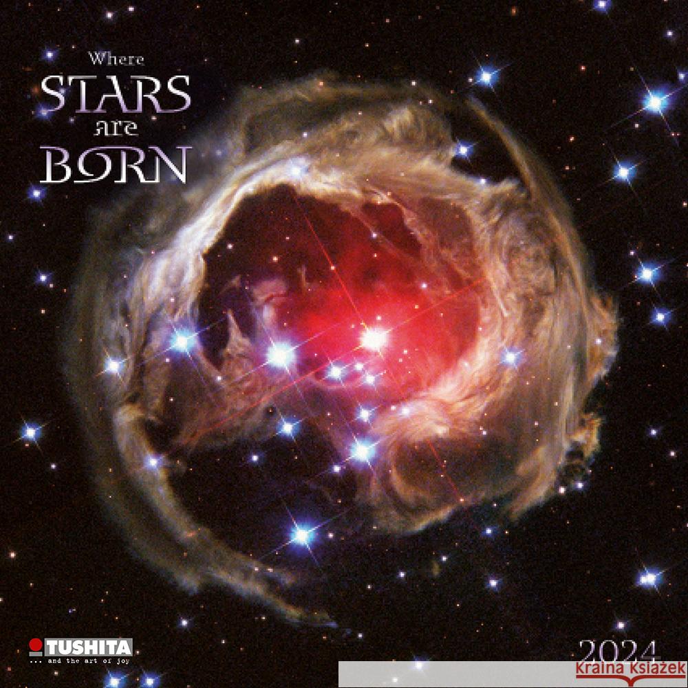 Where Stars are Born 2024  9783959292207 Tushita - książka