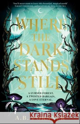 Where the Dark Stands Still Ania Poranek 9780241622155 Penguin Random House Children' - książka