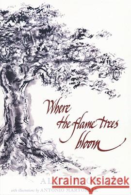 Where the Flame Trees Bloom Alma Flor Ada 9781416968405 Aladdin Paperbacks - książka