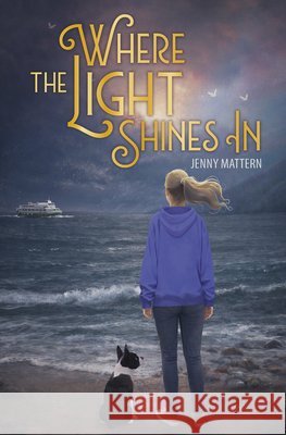 Where the Light Shines in Jenny Mattern 9781631639913 Jolly Fish Press - książka