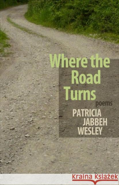 Where the Road Turns Patricia Jabbeh Wesley 9781932870404 Autumn House - książka