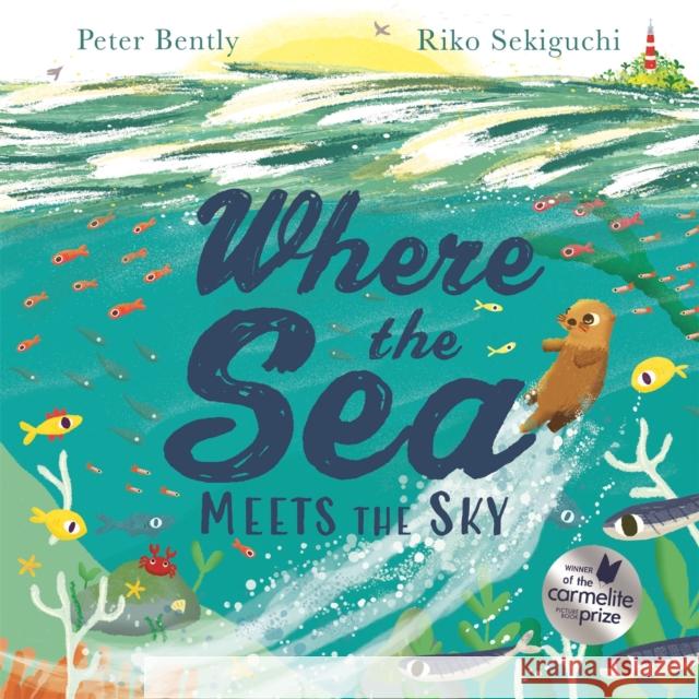 Where the Sea Meets the Sky Peter Bently Riko Sekiguchi 9781444946314 Hachette Children's Group - książka