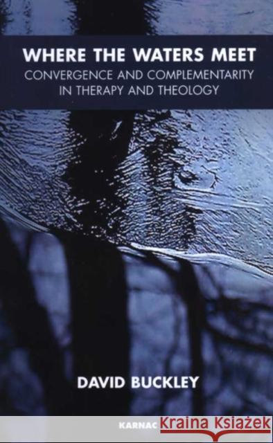 Where the Waters Meet: Convergence and Complementarity in Therapy and Theology David Buckley 9781855755918 KARNAC BOOKS - książka