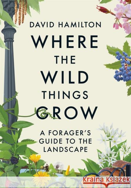 Where the Wild Things Grow: A Forager's Guide to the Landscape David Hamilton 9781529351071 Hodder & Stoughton - książka