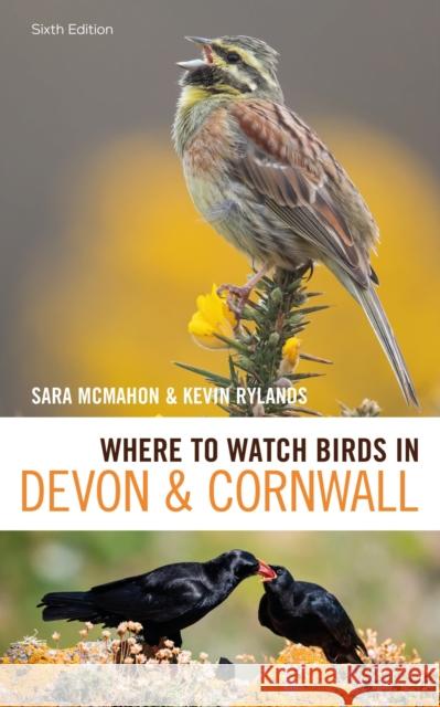 Where to Watch Birds in Devon and Cornwall: 6th edition Kevin Rylands 9781472988218 Bloomsbury USA - książka
