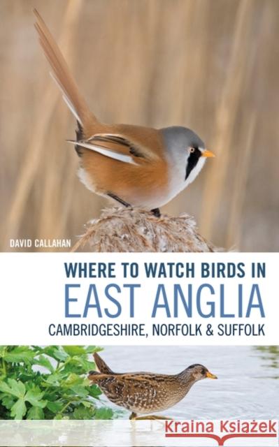 Where to Watch Birds in East Anglia: Cambridgeshire, Norfolk and Suffolk David Callahan 9781472962225 Bloomsbury Publishing PLC - książka