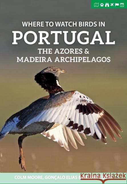 Where to Watch Birds in Portugal, the Azores & Madeira Archipelagos Colm Moore Gon 9781784272234 Pelagic Publishing - książka