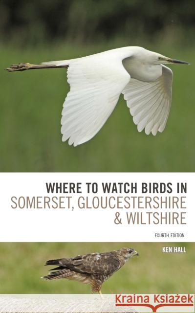 Where To Watch Birds in Somerset, Gloucestershire and Wiltshire Ken Hall 9781472912381 Bloomsbury Publishing PLC - książka
