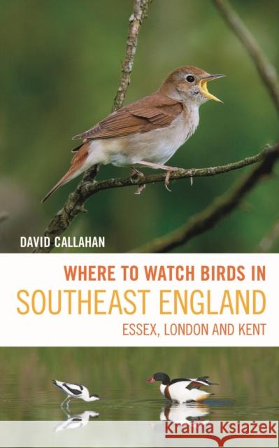 Where to Watch Birds in Southeast England: Essex, London and Kent David Callahan 9781399403603  - książka