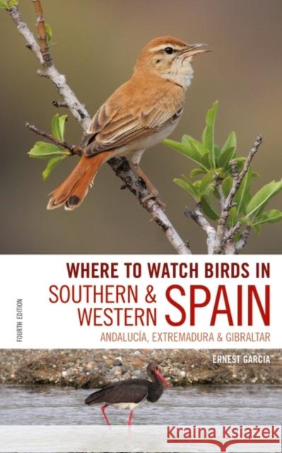 Where to Watch Birds in Southern and Western Spain: Andalucia, Extremadura and Gibraltar Ernest Garcia Andrew Paterson 9781472951847 Helm - książka