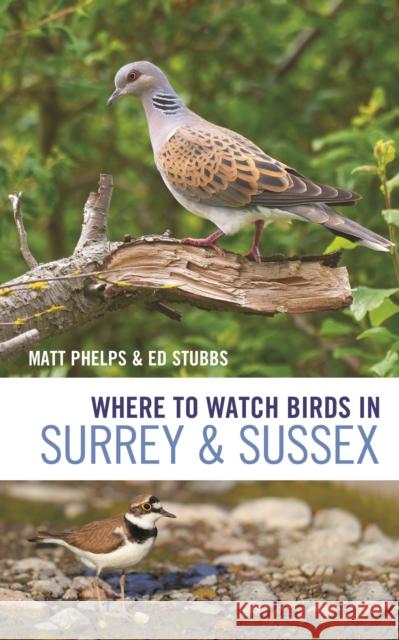 Where to Watch Birds in Surrey and Sussex Ed Stubbs 9781399404235 Bloomsbury Publishing PLC - książka