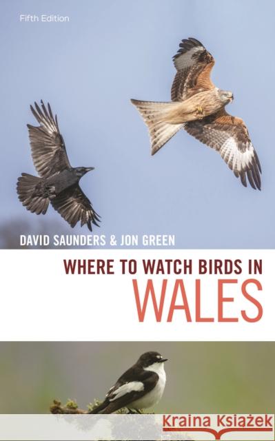 Where to Watch Birds in Wales David Saunders Jon Green 9781472979513 Bloomsbury Publishing PLC - książka