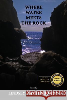 Where Water Meets the Rock Lindsey Martin-Bowen 9781946358059 39 West Press - książka