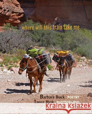 where will this train take me Barbara Buck, Janna Blok 9781945805608 Bedazzled Ink Publishing Company - książka