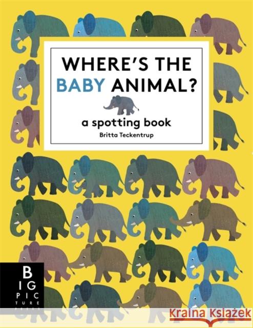 Where's the Baby Animal?: A Spotting Book Britta Teckentrup 9781835870983 Bonnier Books Ltd - książka