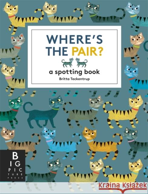 Where's the Pair?: A Spotting Book Britta Teckentrup 9781800787872 Templar Publishing - książka