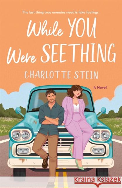 While You Were Seething Charlotte Stein 9781035038183 Pan Macmillan - książka