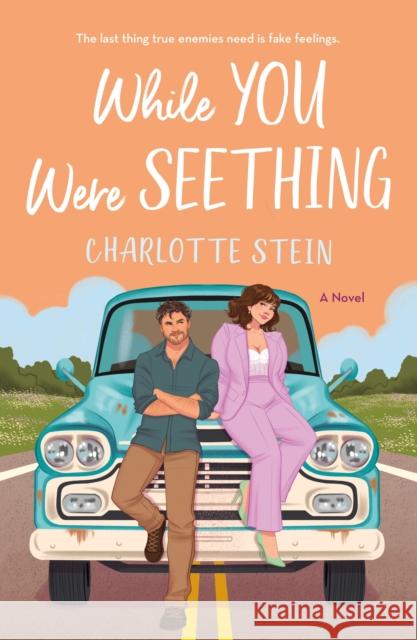 While You Were Seething: A Novel Charlotte Stein 9781250867995 St. Martin's Griffin - książka