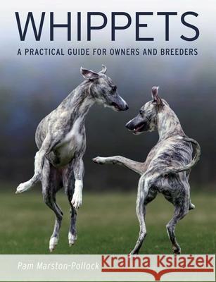 Whippets: A Practical Guide for Owners and Breeders Pam Marston-Pollock 9780719842955 The Crowood Press Ltd - książka