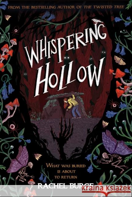 Whispering Hollow Rachel Burge 9781804536179 Hachette Children's Group - książka