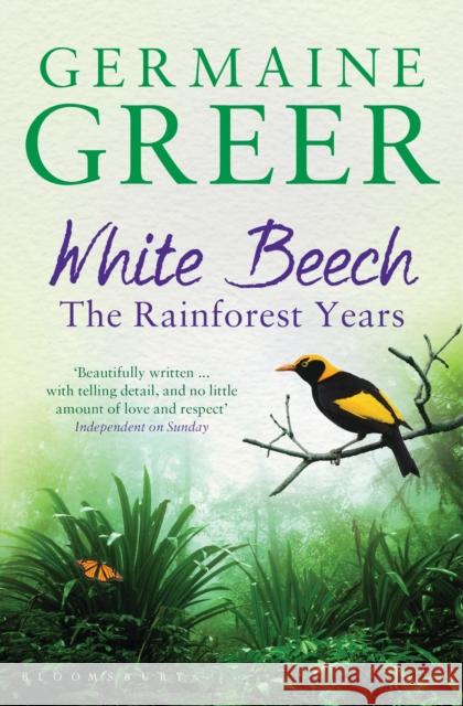 White Beech : The Rainforest Years Germaine Greer 9781408846735 Bloomsbury Publishing PLC - książka