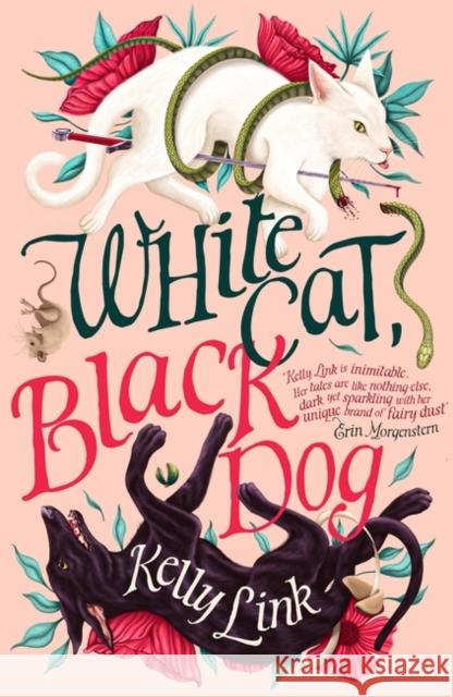 White Cat, Black Dog Kelly Link 9781804548417 Head of Zeus - książka